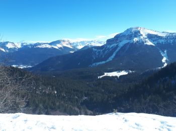 Tocht Sneeuwschoenen Sarcenas - Crêtes du Mont Fromage et oratoire d'Orgeval en circuit partiel - Photo