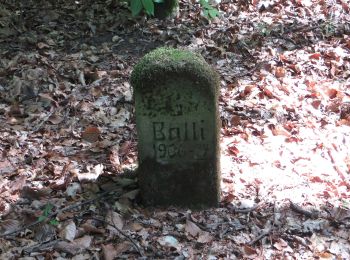 Trail On foot  - SB5 Unterwegs auf dem Württembergischen Weinwanderweg - Photo