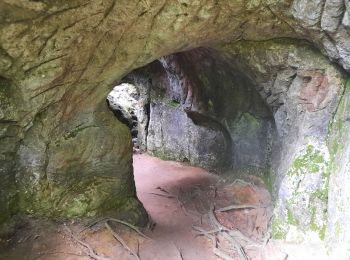 Tocht Stappen Echternach - mullerthal moitié E1 - Photo