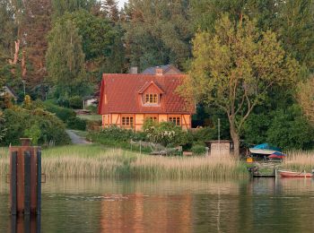 Tour Zu Fuß Kappeln - Rundweg Ellenberger Gehölz - Photo