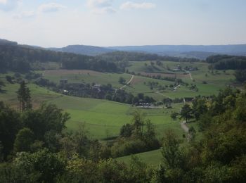 Randonnée A pied Thalheim - Zeiher Homberg - Eichwald - Photo