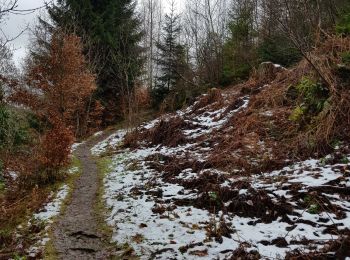 Trail Walking Monschau - 2021-12-01_19h44m48_804 - Photo