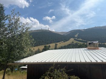 Trail Walking Beaumont-du-Ventoux - Mont serein 30/08/2024 - Photo