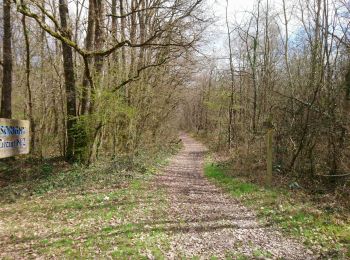 Trail Walking Sorigny - Sorigny - 10.6km 45m 2h10 - 2018 03 18 - Photo