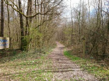 Excursión Senderismo Sorigny - Sorigny - 10.6km 45m 2h10 - 2018 03 18 - Photo