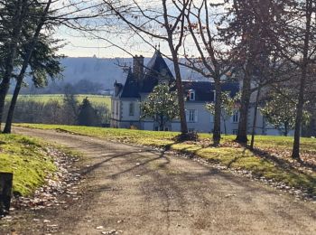 Trail Walking Verneuil-sur-Vienne - Verneuil - Photo