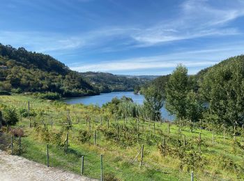 Tour Wandern Sobrado e Bairros - Castelo de Paiva - Douro (GR60) - Photo