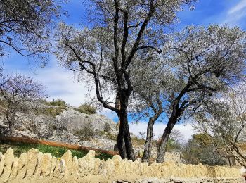 Tour Wandern Joucas - Gorges de Véroncle au départ de Joucas - Photo