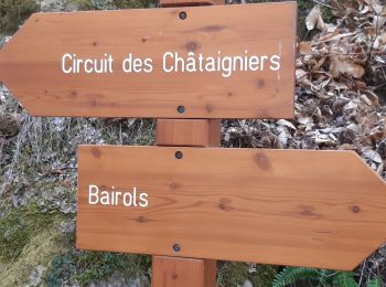 Tour Wandern Bairols - trace mont falourde 2023-04-07 - Photo