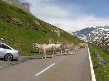 Randonnée A pied Unterschächen - Naturkundlicher Höhenweg Schächental - Photo