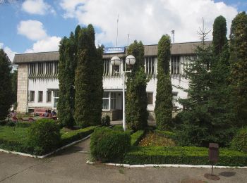 Percorso A piedi Râșnov - Fosta Cabană Cheia - Cheile Râșnoavei - Predeal - Photo