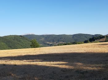 Tour Wandern Bilieu - la plage 2 retour - Photo