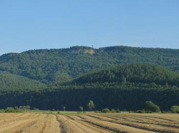 Excursión A pie Treffurt - Premiumweg Heldrastein - Photo