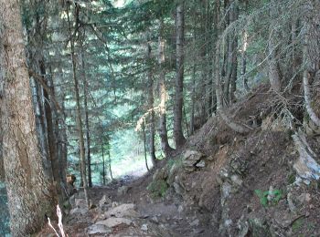 Tocht Te voet Bagnères-de-Bigorre - Chemin de la Montagne d'Aouet - Photo