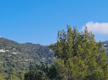 Excursión Senderismo La Valette-du-Var - coudon sud et crête ouest - Photo