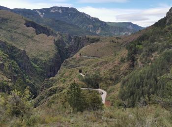 Excursión Senderismo Daluis - Gorges de Daluis - Photo