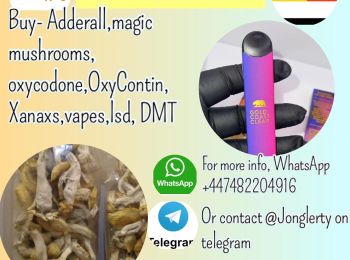 Trail Walking  - telegr@m @Gransone, Xanax, vapes and pyschedelic mushrooms for sale in Manchester UK, and New Jersey USA, WHATSAPP +12816065109 - Photo