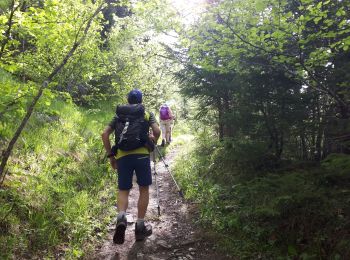 Trail Walking Engins - Charande en circuit par la pas de la Lose et le passage de la Grande Combe  - Photo