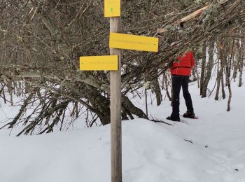 Trail Snowshoes Les Déserts - la Féclaz - Croix du Nivolet - Photo