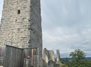 Randonnée Marche Scey-Maisières - Château de Scey en varois et plateau  - Photo