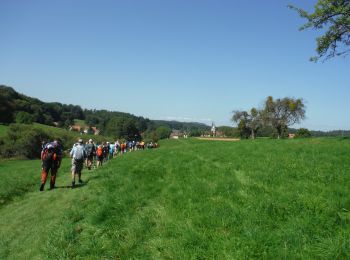 Trail Walking Lembach - Linéaire depuis Pfaffenbronn. - Photo