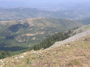 Randonnée A pied Valbelle - Montagne de Lure - Photo
