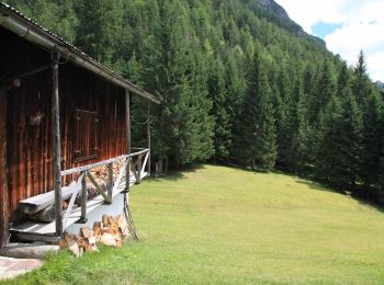 Tocht Te voet Domegge di Cadore - IT-347 - Photo