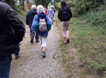Trail Walking Gourin - Les CARRIÈRES Gourin  - Photo