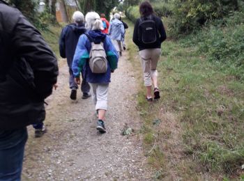 Tocht Stappen Gourin - Les CARRIÈRES Gourin  - Photo