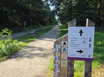 Percorso Marcia Maasmechelen - Mechelse Heide  - Photo