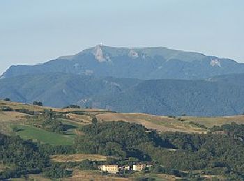 Randonnée A pied Travo - Trail delle Pietre - Photo