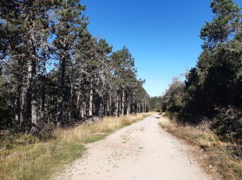 Tocht Stappen Les Salces - GR60 je Saint Germain de Teil - Photo