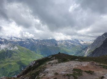 Excursión Senderismo Pralognan-la-Vanoise - Le Petit Mont Blanc - Photo