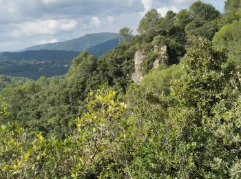 Tour Wandern Méounes-lès-Montrieux - meounes grotte du rampin - Photo