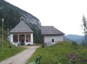 Excursión A pie Lozzo di Cadore - Anello del Troi de le Ciaure - Photo