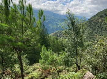 Trail Walking  - Viet mercredi  - Photo