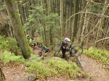 Tour Mountainbike Badenweiler - trace angomont - Photo