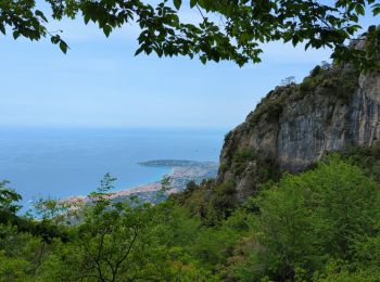 Tocht Stappen Castellar - Castellane - roc d'Ormea - Photo