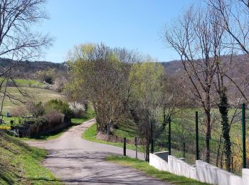 Percorso Marcia Prompsat - SENTIER DES 3 CLOCHERS - Photo