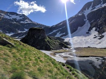 Trail On foot Valbondione - 308: Rifugio Curò - Passo di Caronella - Photo