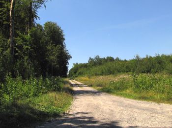 Randonnée Marche Oigny-en-Valois - en forêt de Retz_81_vers les étangs de Bourcq et sur le GR11 - Photo