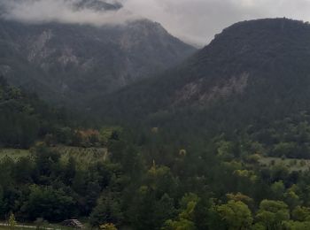 Tour Wandern Saint-Léger-du-Ventoux - Montagne de Bluye  - Photo