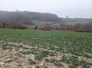 Randonnée Marche Le Héron - Rebets par l'Héronchelles  - Photo