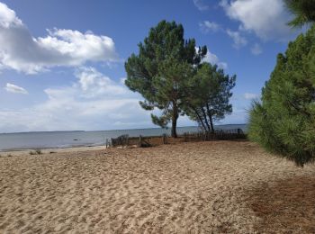 Tour Wandern Andernos-les-Bains - Andernos -ARES - Photo