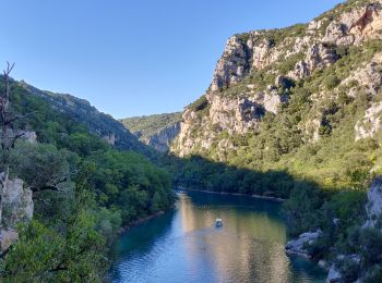 Excursión Senderismo Montmeyan - Les Basses de Gorges de Quinson - Photo