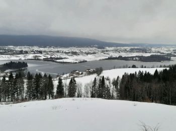 Tocht Sneeuwschoenen Grande-Rivière-Château - 20230105 - Photo