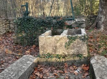 Tour Wandern Valflaunès - L'hortus et château de Vivourès - Photo