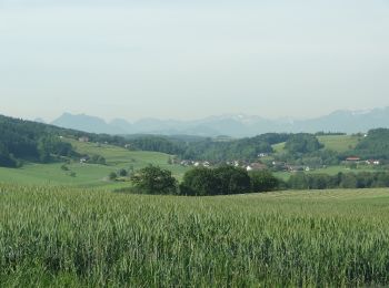 Tocht Te voet Bad Endorf - Wanderweg 4 - Bad Endorf - Photo