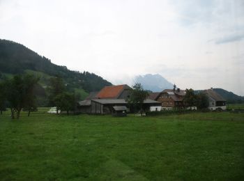 Percorso A piedi Michaelerberg-Pruggern - Laufstrecke Enns 2 über Birgseitn - Photo