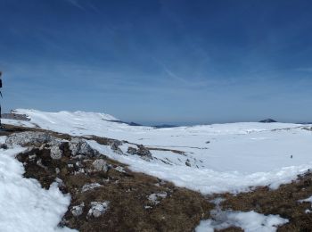 Randonnée Raquettes à neige Bouvante - CRETES FOND D'URLE - Photo